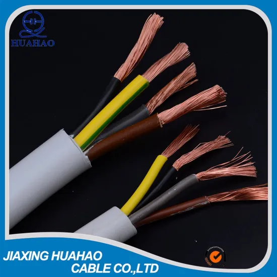 2core 3core 4core 5core Copper/CCA Conductor PVC Electric/Electrical Jacket Rvv Cable/Flexible Cable 